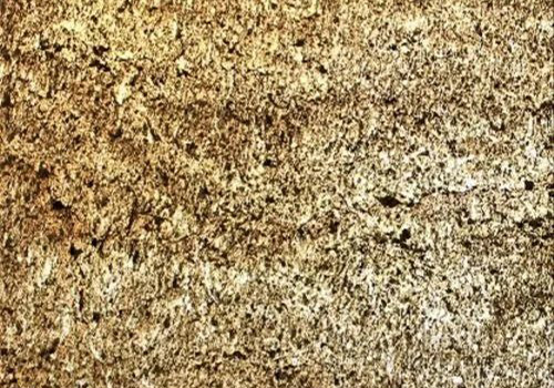 Golden Translucent Veneer