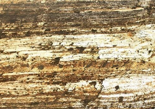 Burning Forest Translucent Stone Veneer